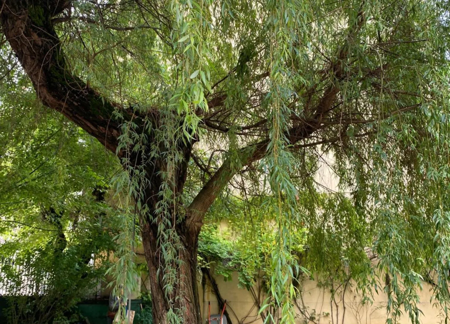 Maison Chorier Ξενοδοχείο Γκρενόμπλ 0*,